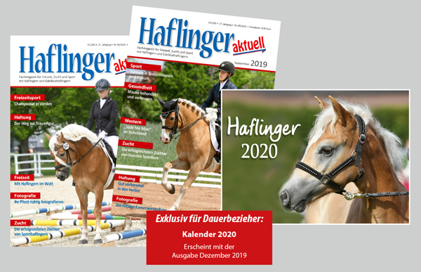 http://www.haflinger-news.de/wp-content/uploads/2019/11/werbung-ha_2019_500.jpg